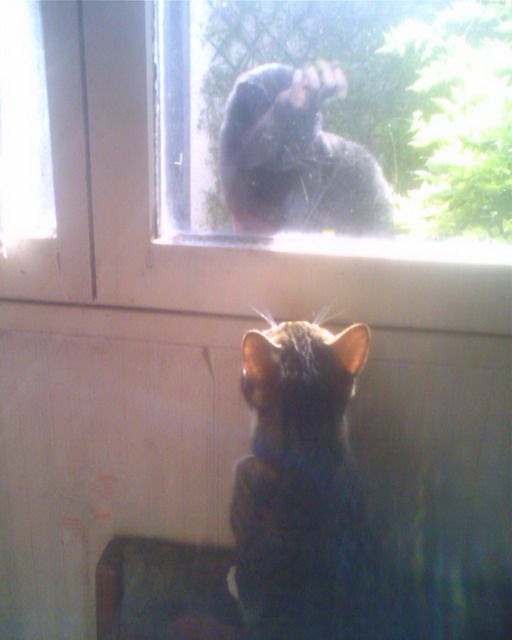 2006-09-17 ilou et laura_l.jpg